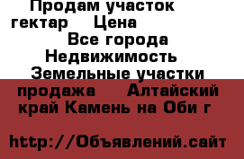 Продам участок 15.3 гектар  › Цена ­ 1 000 000 - Все города Недвижимость » Земельные участки продажа   . Алтайский край,Камень-на-Оби г.